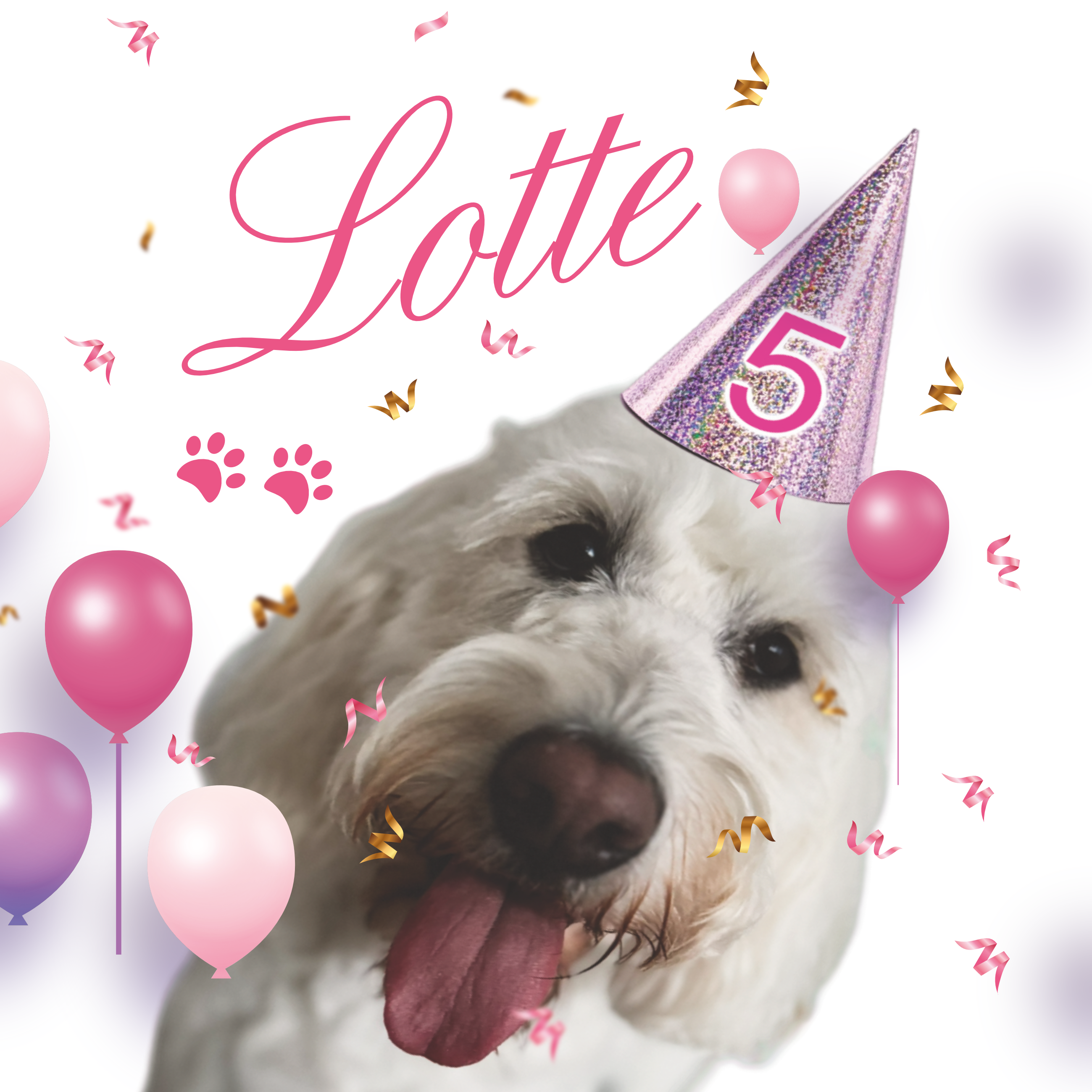 Lottes Geburtstag Feier